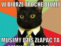 Zadanie na pt