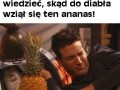 Jak poznałem waszą ananasa