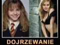 Dojrzewanie