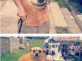 Najlepszy faceswap ever