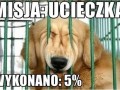 Misja