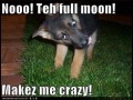 Full moon
