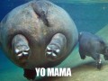 Yo mama is so fat