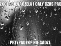 Przypadeg