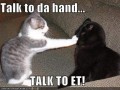 Talk to hand
