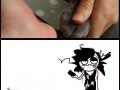 Koty i iphone