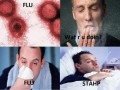 Flu