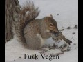 Fck vegan
