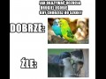 Przestańcie się lizać jak zwierzęta na korytarzach