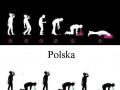 Cykl picia