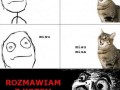 Rozmowa z kotem