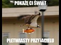 Pokaże ci świat