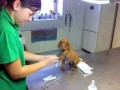 Awwww 1