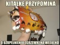 Sobota dzień kota
