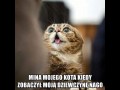 Zrobiłem kotu zdjęcie