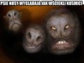 Wściekli kosmici