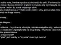 Myszka i ptak
