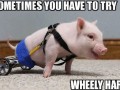 Wheely hard