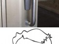  Genius