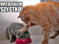 Wszystko ma być zjedzone