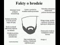 Fakty o brodzie
