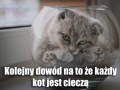 Stan ciekły