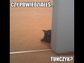 Czy powiedziałeś tuńczyk