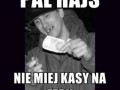 Pal hajs