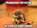 Prawda objawiona