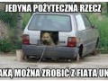 Jedyna pożyteczna rzecz