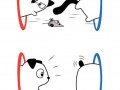How to use the portal