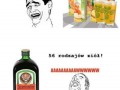 56 Rodzajów ziół