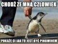 Coś ci pokaże
