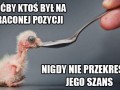 Na straconej pozycji