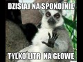 Dzisiaj na spokojnie