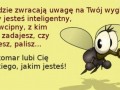One kochają cię bezwarunkowo