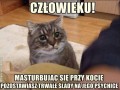 Człowieku