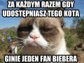 1 Fan biebera