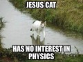 Jesus cat