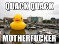 Kwak kwak