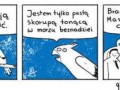 Nauczyłem papugę mówić