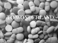 To wonderland