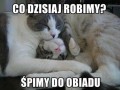 Co dzisiaj robimy