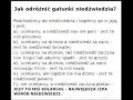 Jak odróżnić gatunki niedźwiedzia