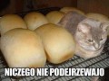 Idealne maskowanie
