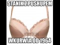 Push upy