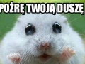 Pożrę twoją duszę