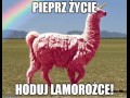 Pieprz życie
