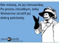 Palcówka