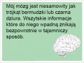 Cudowny mózg